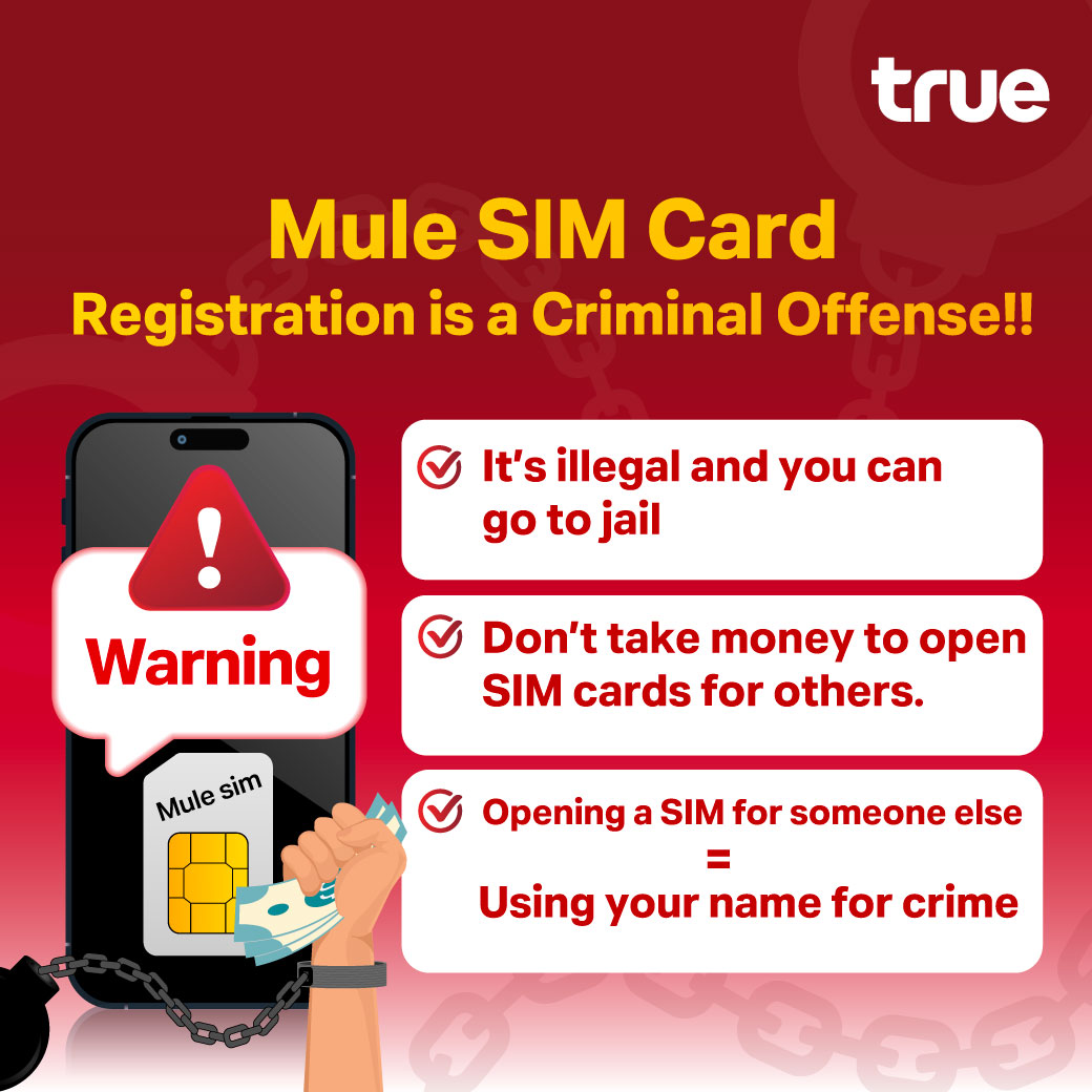 mule-sim-1040x1040-en