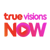 ico-app-truevisions-now
