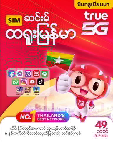 aec-sim-true-mm