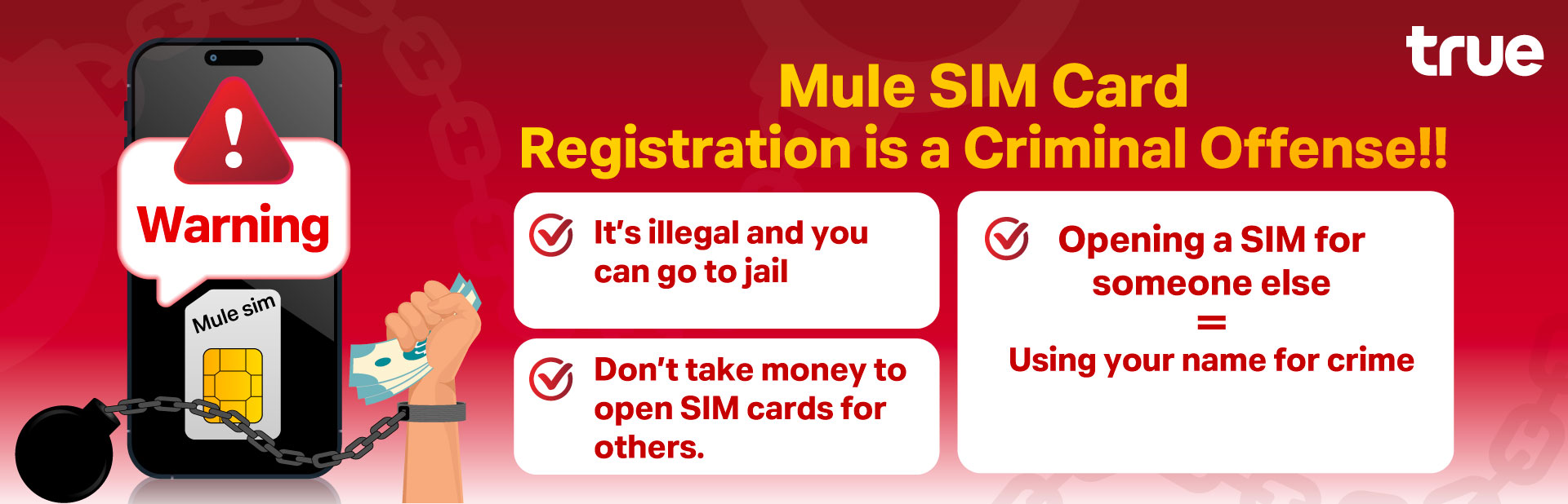 mule-sim-1920x618-en