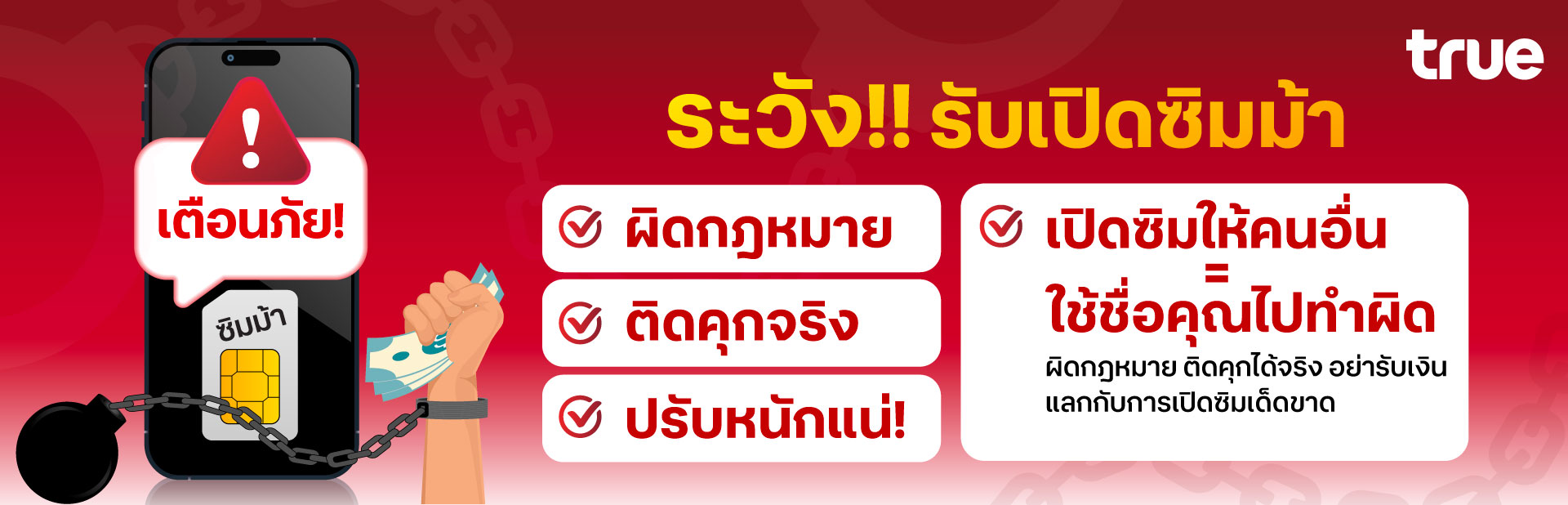 mule-sim-1920x618-th