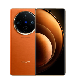vivo X100 Pro