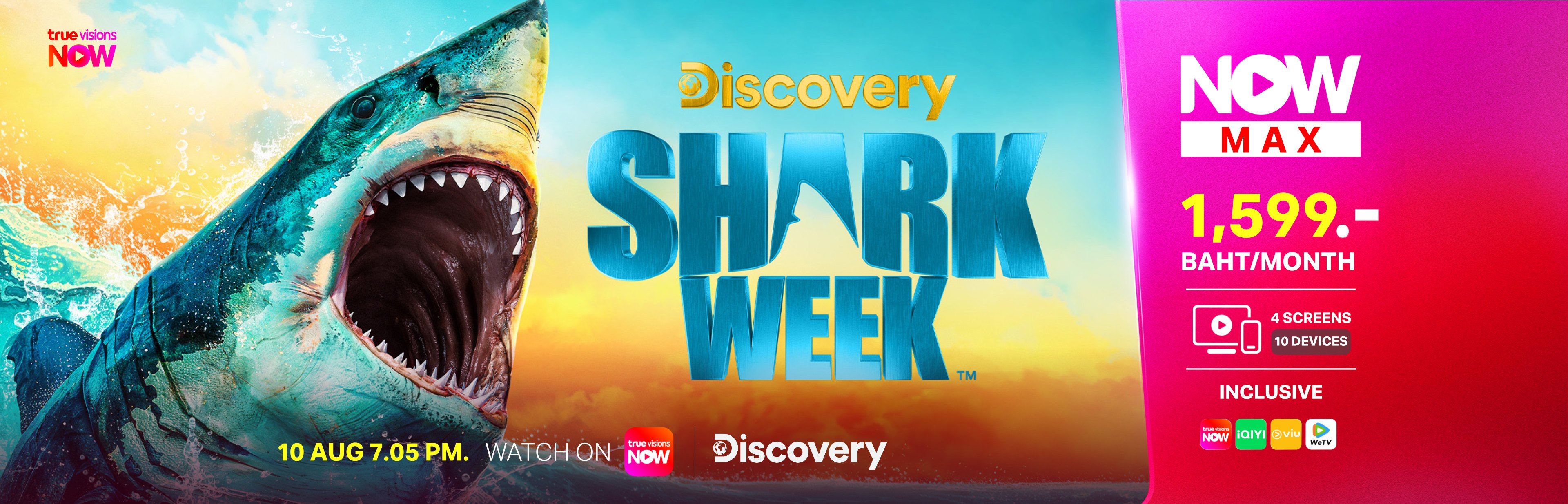 2-shark-week-3840x1236-en