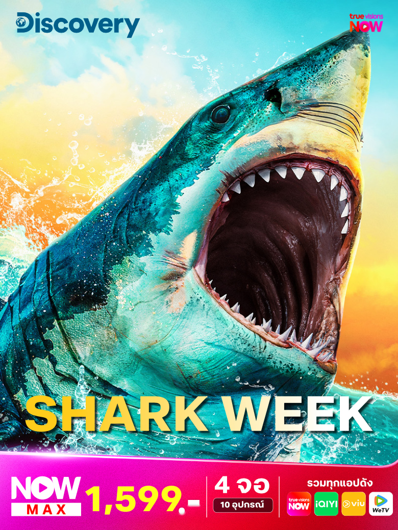 2-shark-week-780x1040-th