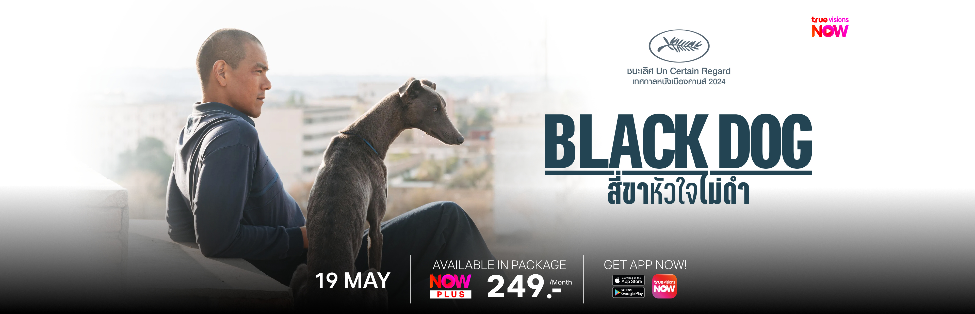 2_BlackDog3840x1236_EN