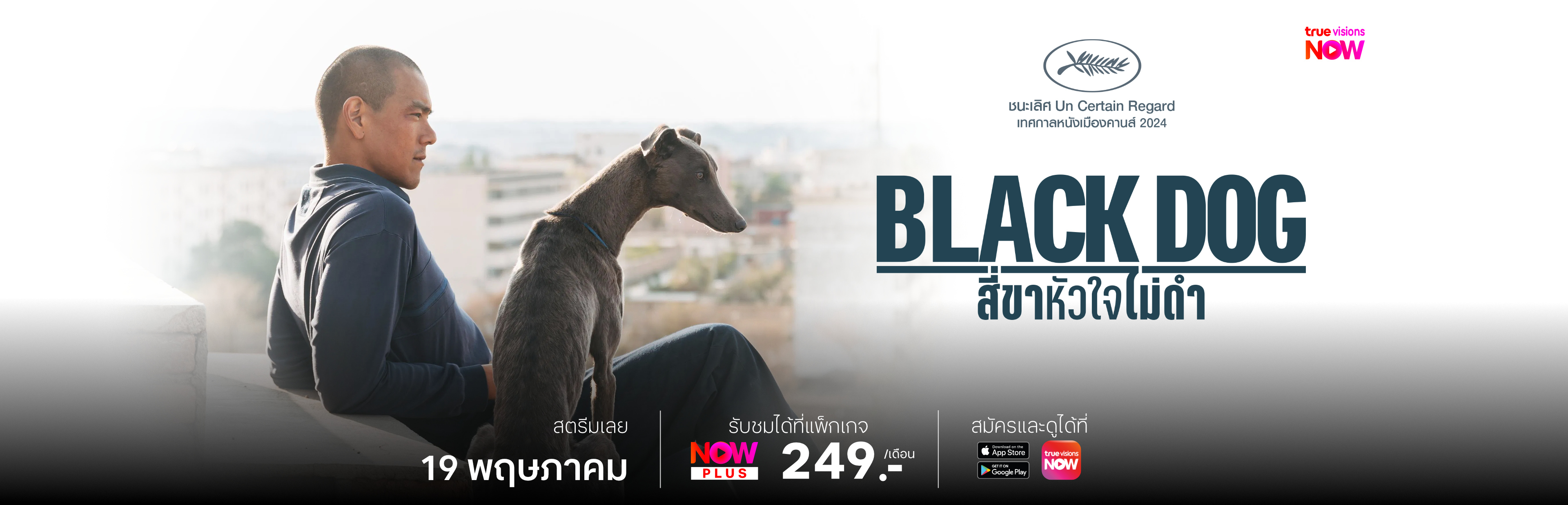 2_BlackDog3840x1236_TH