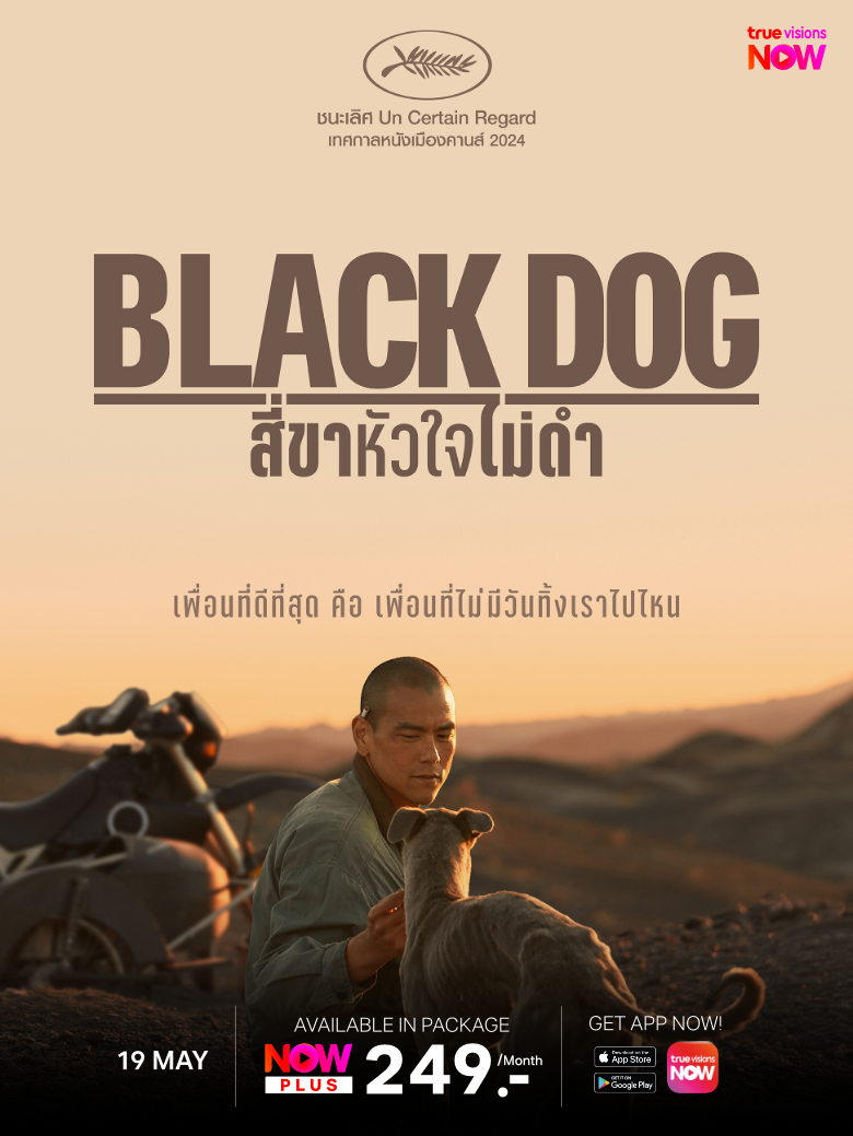 2_BlackDog780x1040_EN