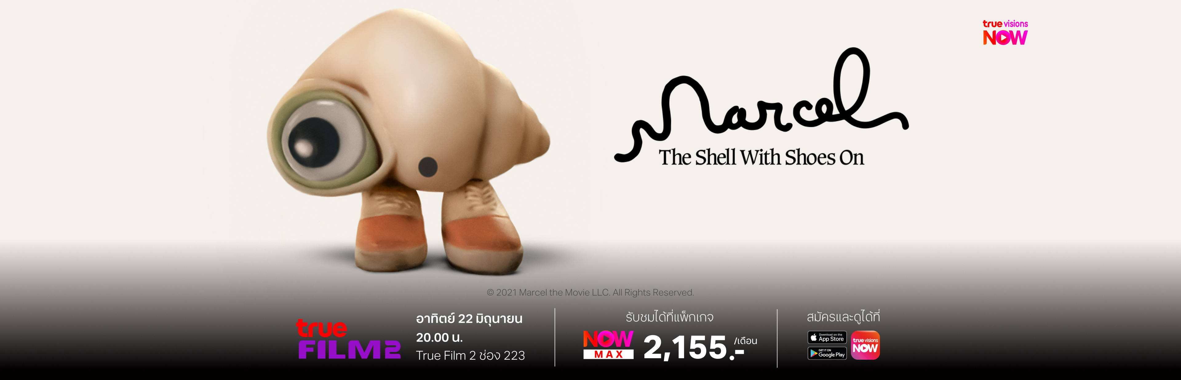 Marcel-3840x1236_TH