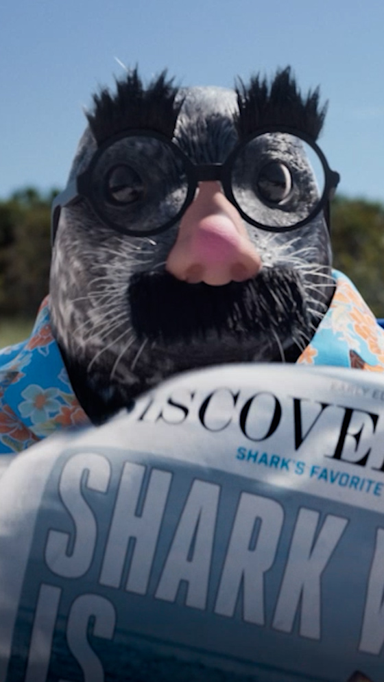 images cover