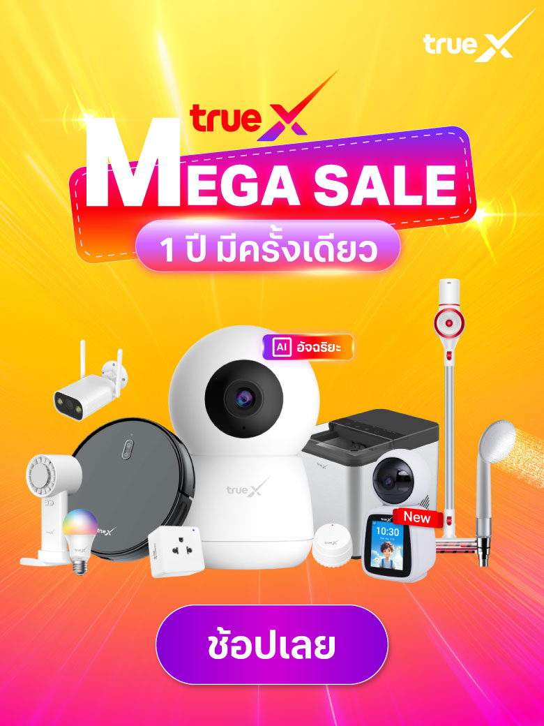20250527_Mega-sale_780-1040