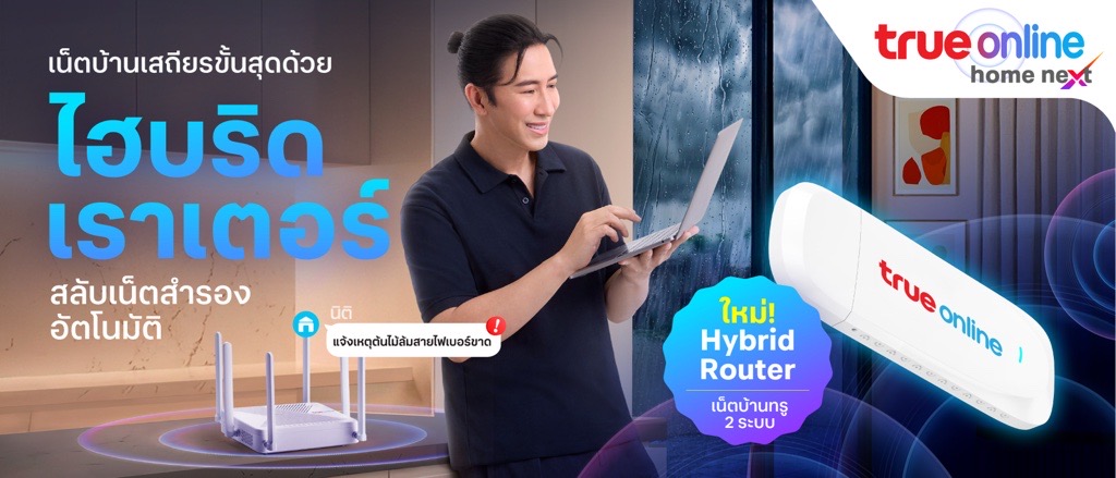 Hybrid Router