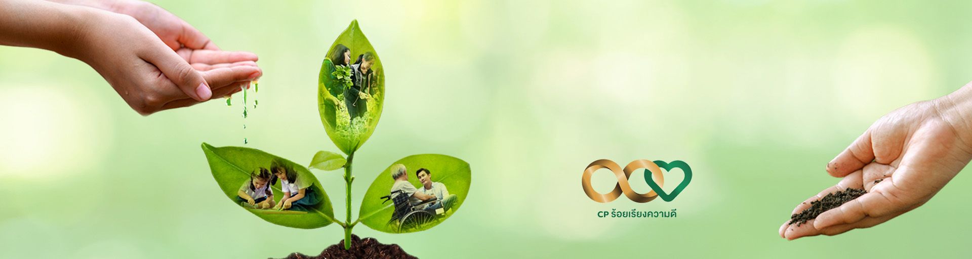 CP banner