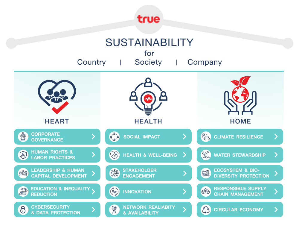 sustainability chart infographic