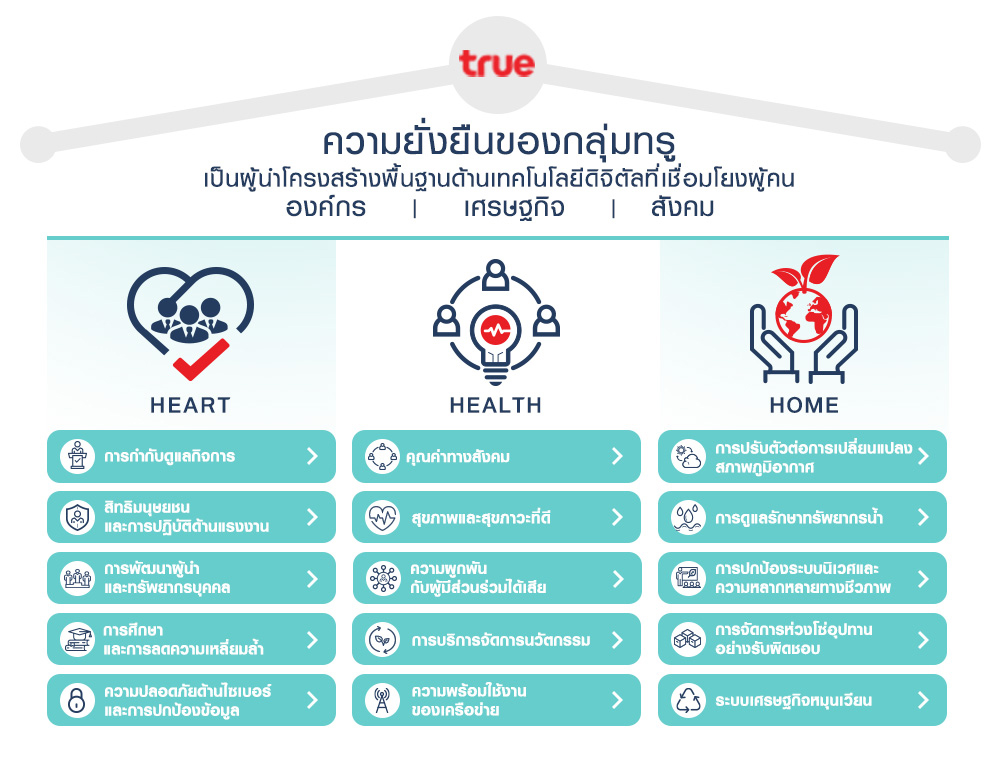 sustainability chart infographic