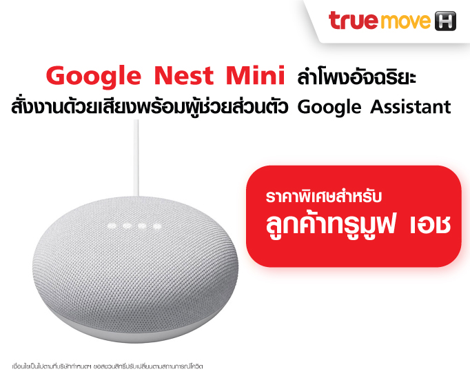 Google Nest Mini - TMH