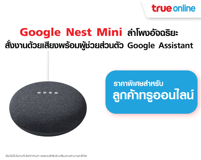 Google Nest Mini - TOL